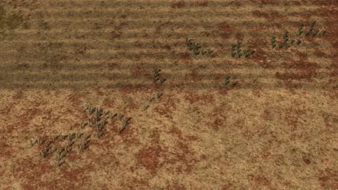 In-game screenshot: US and Russian rifle squads advancing on each other across the red earth of Red Steppe